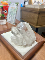 白晶簇(4)